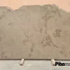 ZBronze Grey