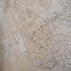WPietra Senape Classica 