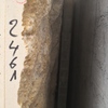 WPietra Senape Classica 